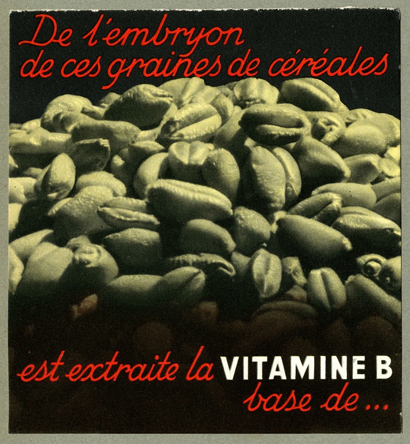 De l'embryon de ces graines de céréales by Аноним, 1910-1950 — digital art print download