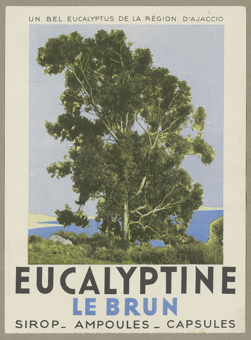 Eucalyptine Le Brun by Аноним, 1910-1950 — digital art print download