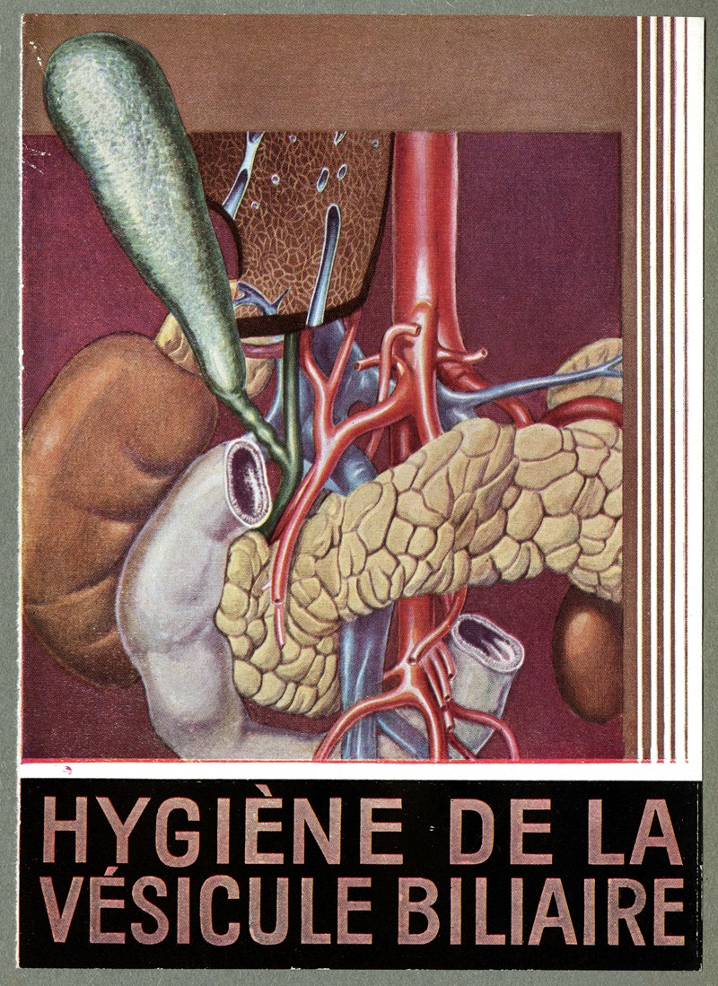 Hygiène de la vésicule biliaire — Anonymous