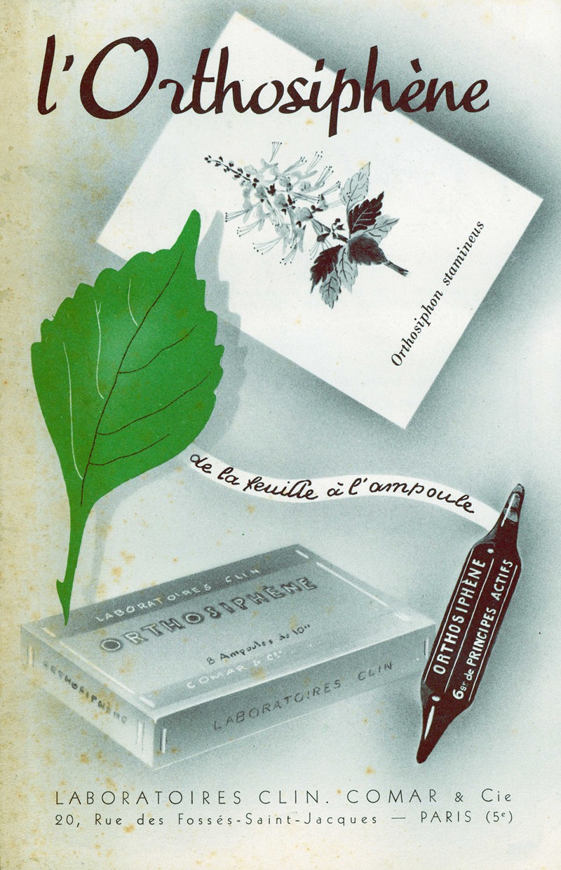 L'Orthosiphène by Laboratoires Clin, Comar & Cie, 1910-1950 — digital art print download