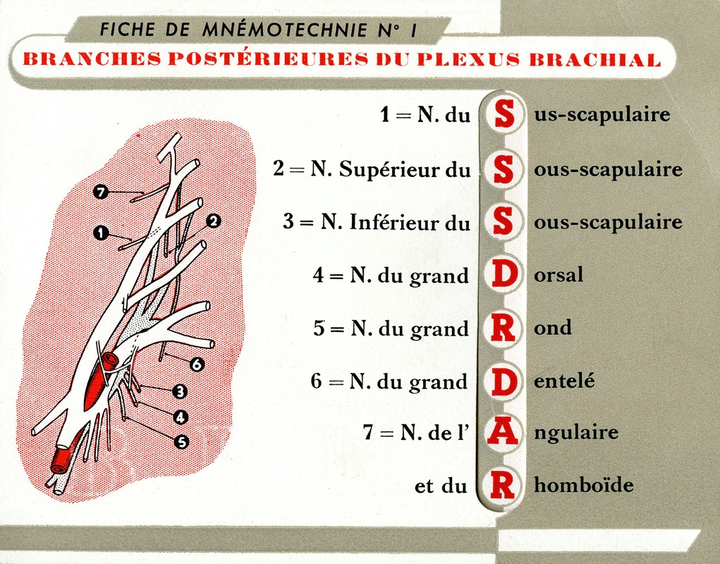 Fiche de mnémotechnie No.1 — Laboratoires Derol
