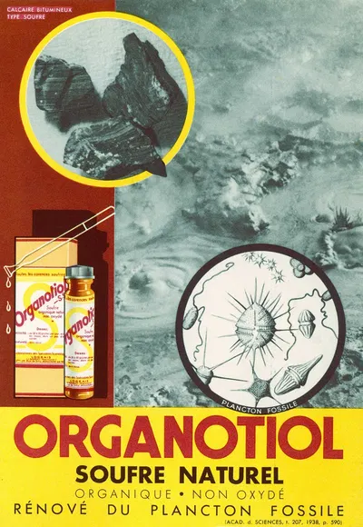 Organotiol by Spécialités scientifiques Logeais, 1910-1950 — digital art print download
