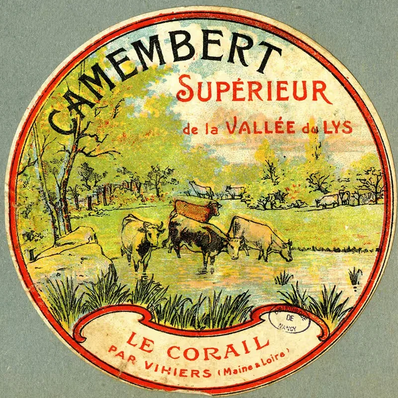 Camembert supérieur de la vallée du Lys — Anonymous