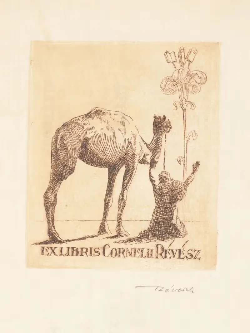 Корнелиус Ревез by Корнел Ревеш — digital art print download