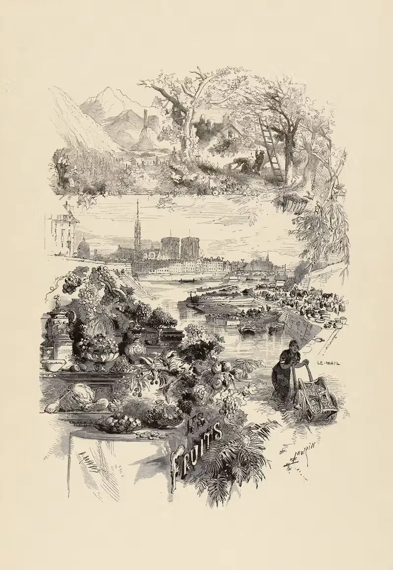 Фрукты by Эдмон Мори, 1865 — digital art print download