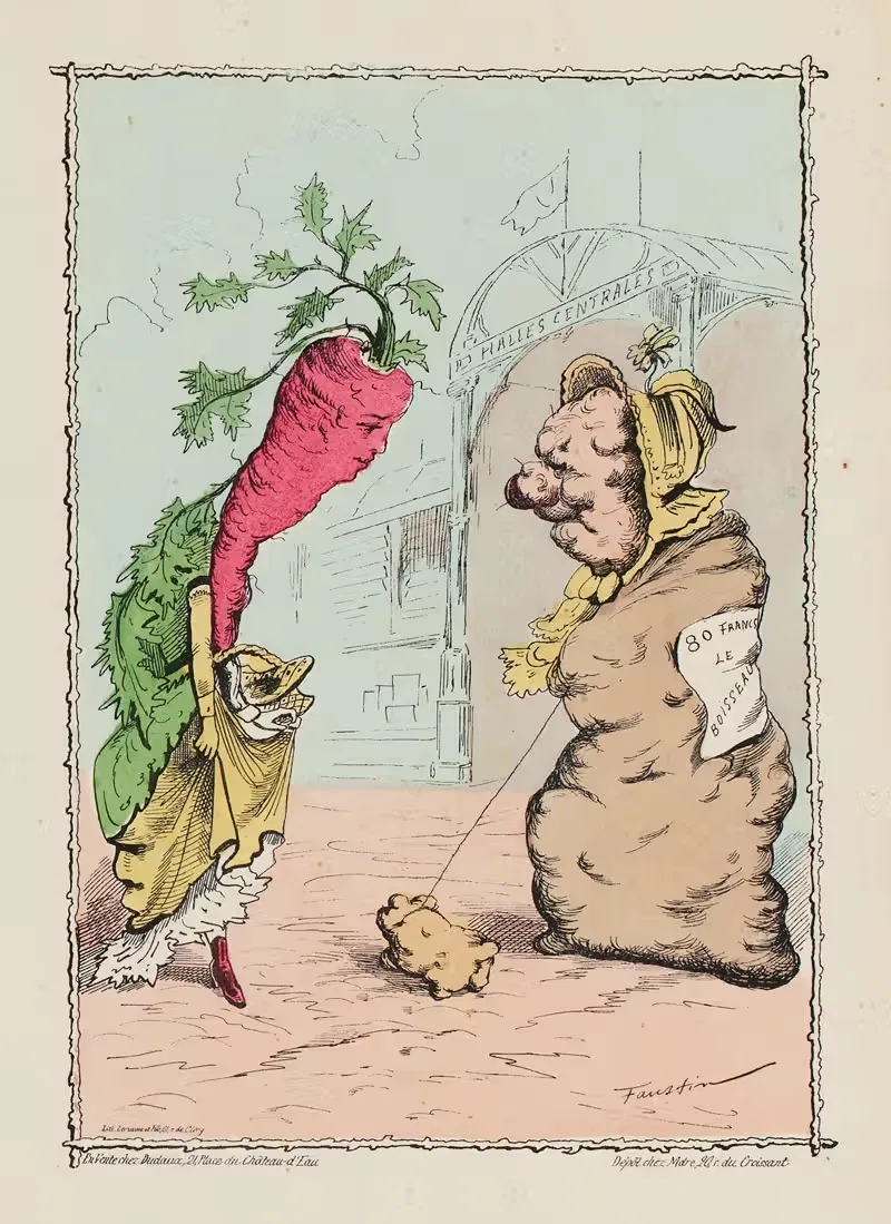 La carotte & la pomme de terre — Faustin Betbeder