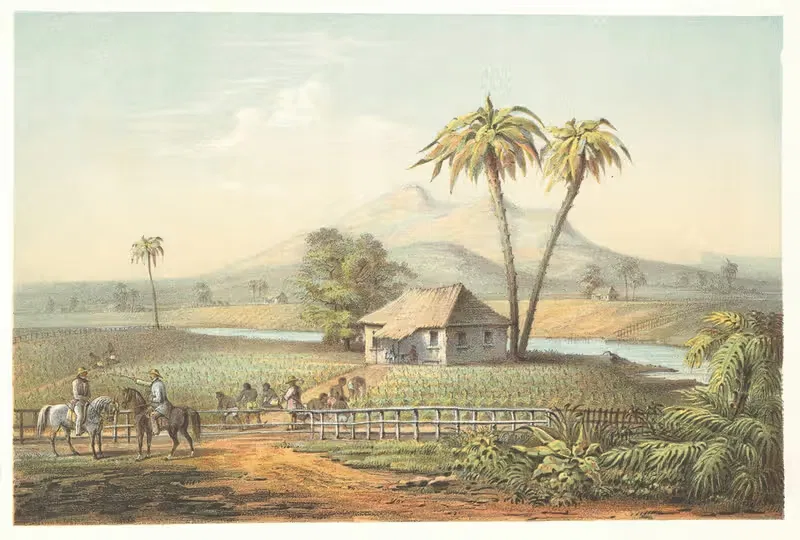 Вид на табачное поле by Пьер Туссен Фредерик Миаль, 1855 — digital art print download