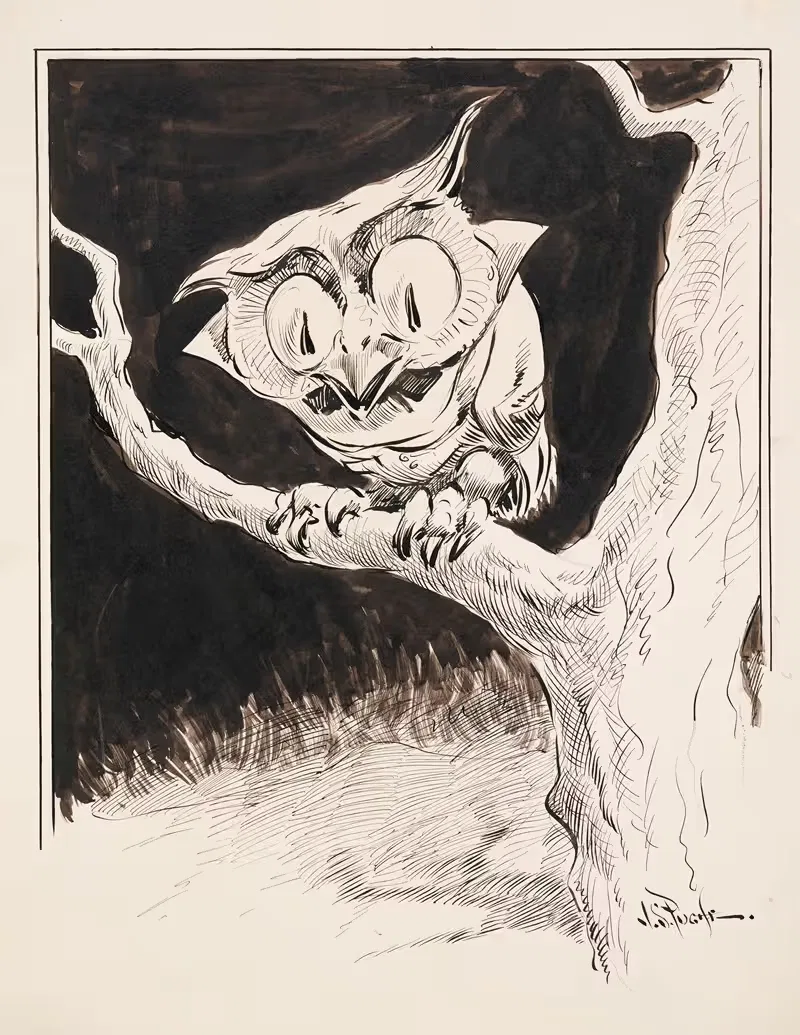 Wide-eyed owl on branch — John Samuel Pughe