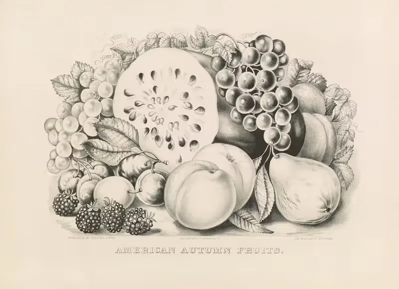 American autumn fruits — Currier & Ives.
