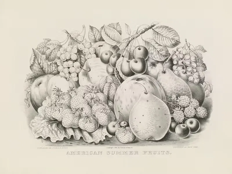 Американские летние фрукты by Керриер и Айвс, 1875 — digital art print download