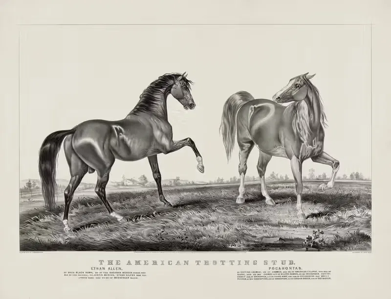 American trotting stud; Ethan Allen, Pocahontas — Currier & Ives.