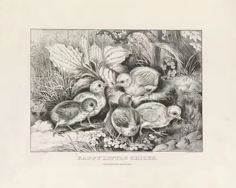 Счастливые маленькие цыплята by Керриер и Айвс, 1866 — digital art print download