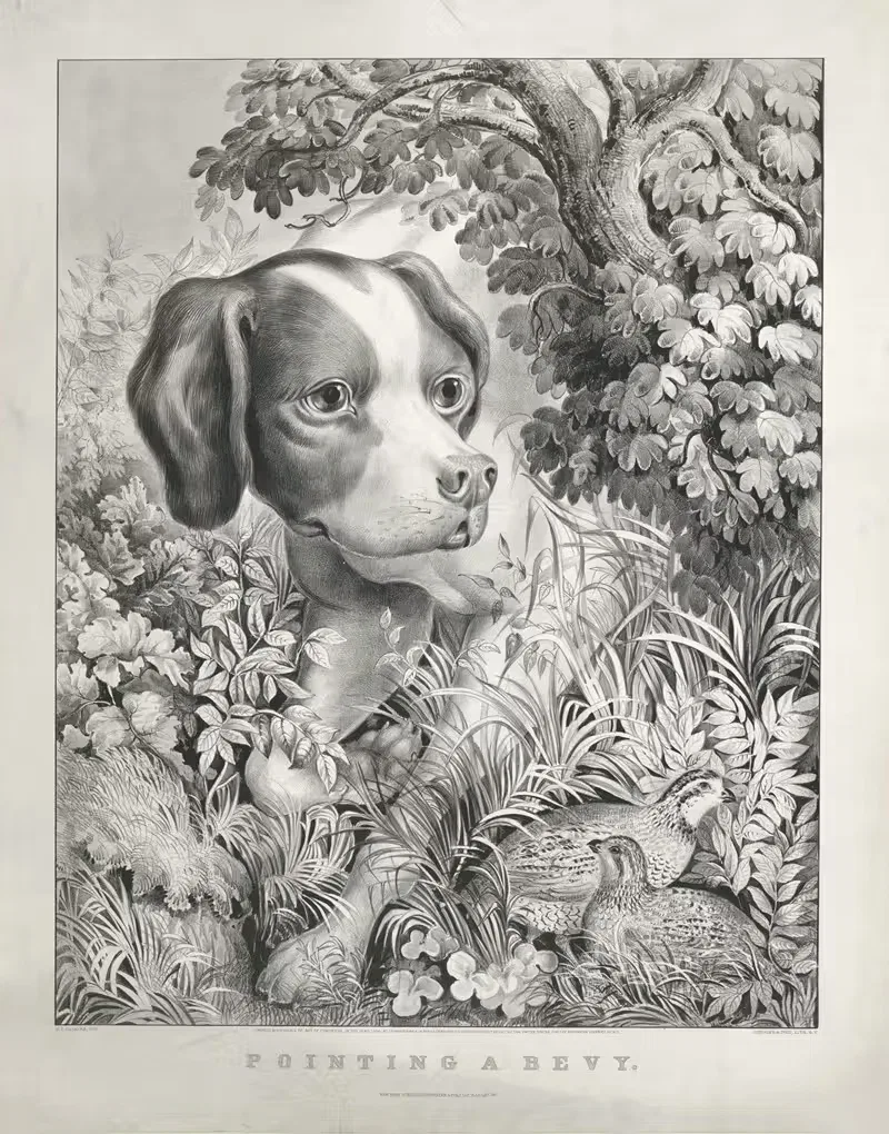 Pointing a bevy by Currier & Ives., 1866 — digital art print download