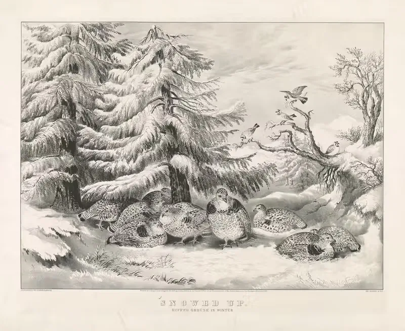 Занесло снегом; рябчик зимой by Керриер и Айвс, 1867 — digital art print download