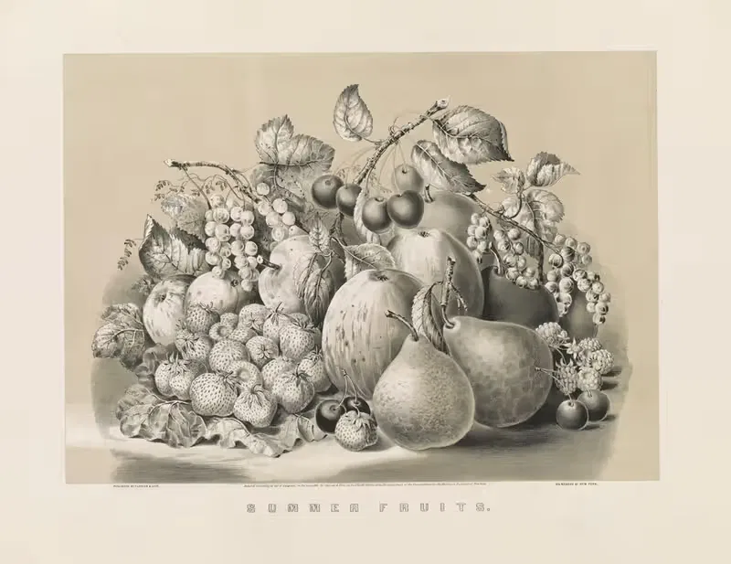 Летние фрукты by Керриер и Айвс, 1861 — digital art print download