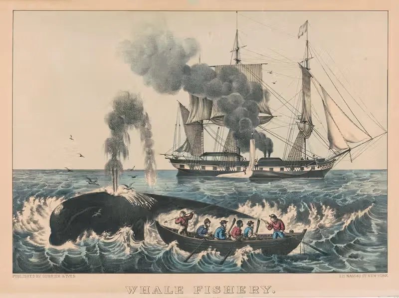 Whale fishery; attacking a right whale — Currier & Ives.
