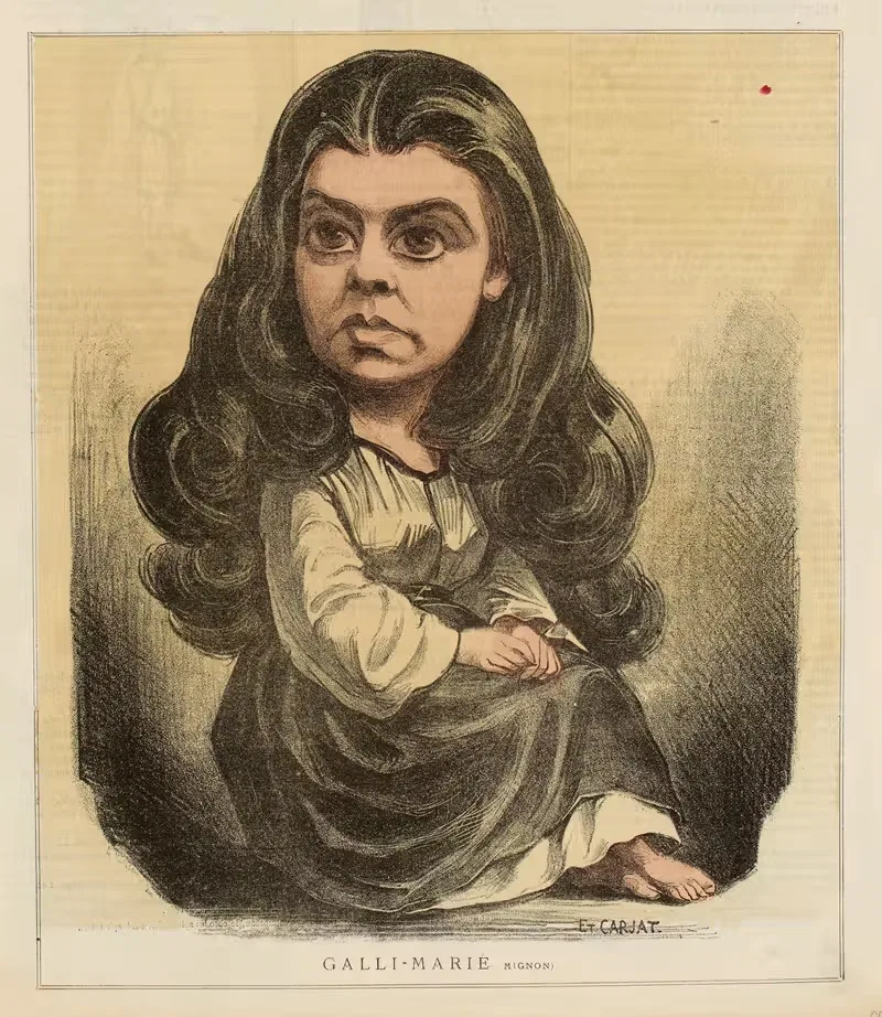 Галли-Мари Меньон by Этьен Каржа, 1867 — digital art print download