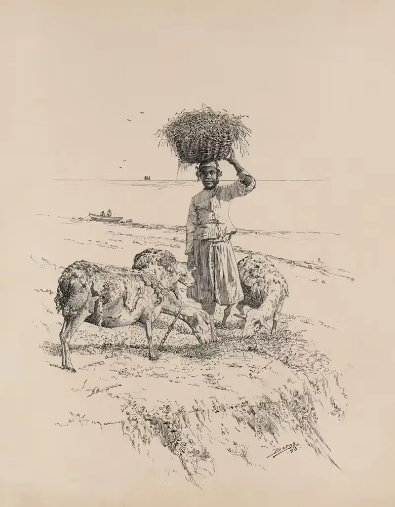 Карибская Бобби by Милтон Дж. Бернс, 1882-1886 — digital art print download