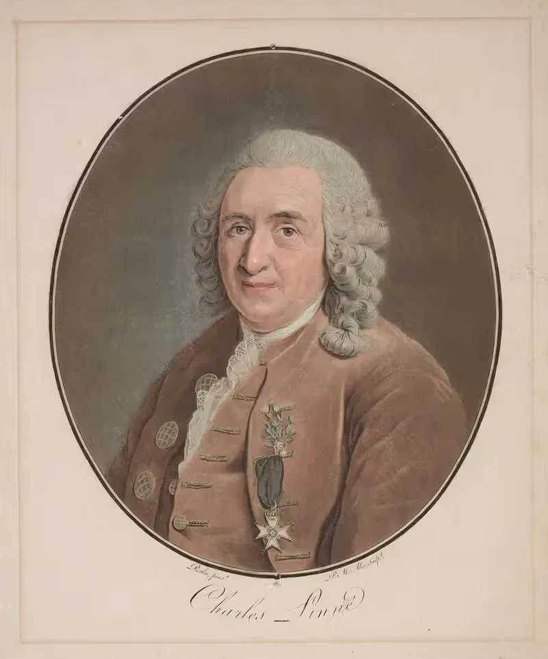 Шарль Линне by Пьер Мишель Али, 1790-1797 — digital art print download