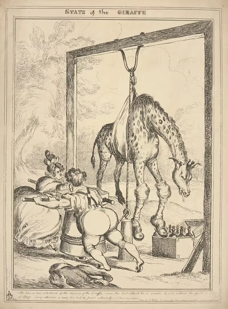 Состояние жирафа. by Уильям Хит, 1829 — digital art print download
