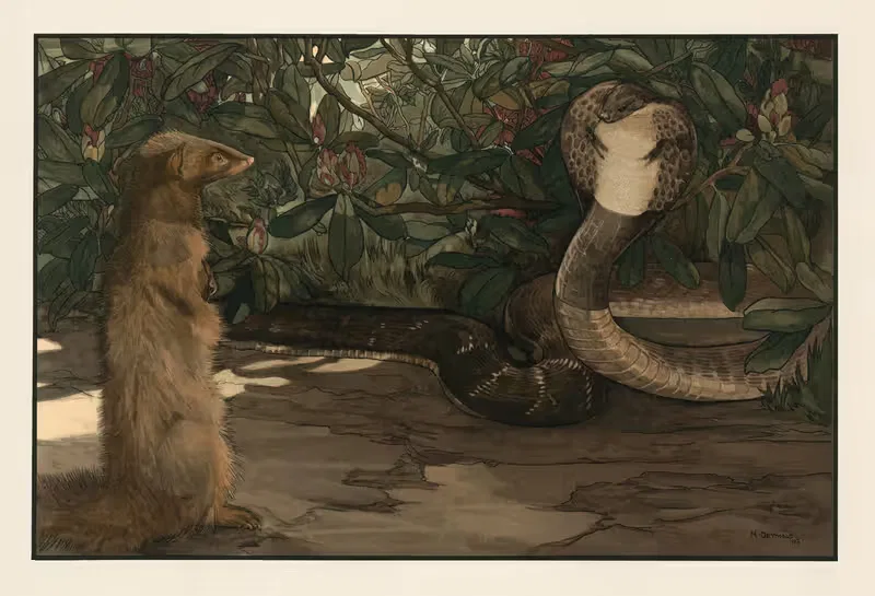 Rikki-tikki by Charles Maurice Detmold, 1903 — digital art print download