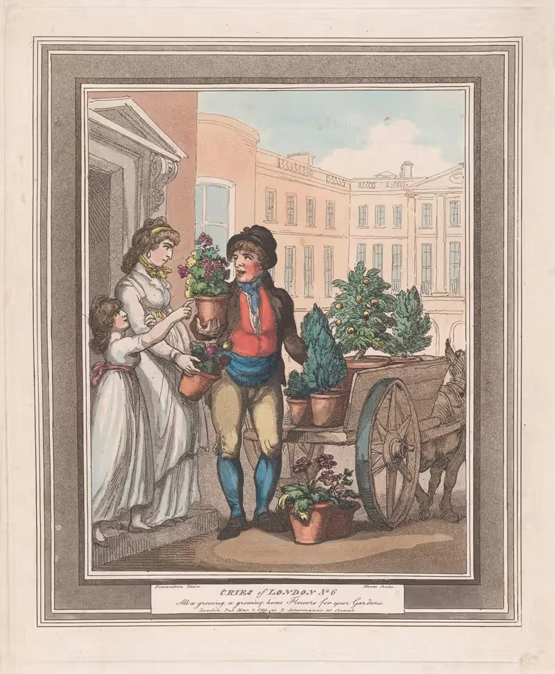 No.6; All a growing, here's Flowers — Thomas Rowlandson