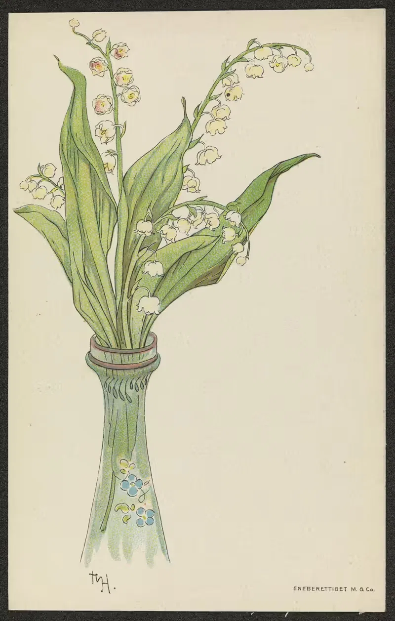 Lily of the valley — Thorolf Holmboe