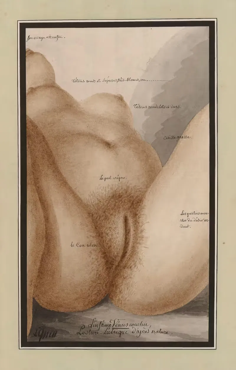 L'infame Vénus couchée. Posture lubriques d'après nature — Jean Jacques Lequeu