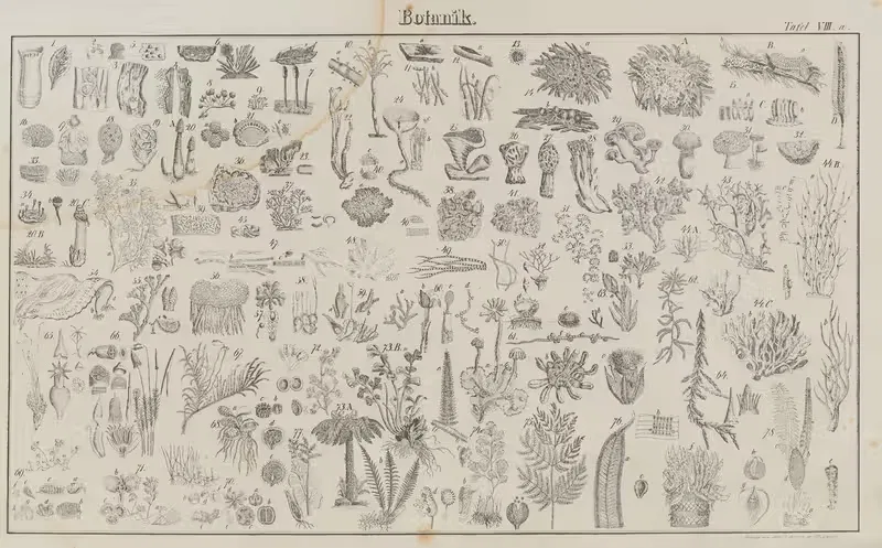 Atlas der Abbildungen Pierer's Universal Lexikon Pl.08 — Heinrich August Pierer