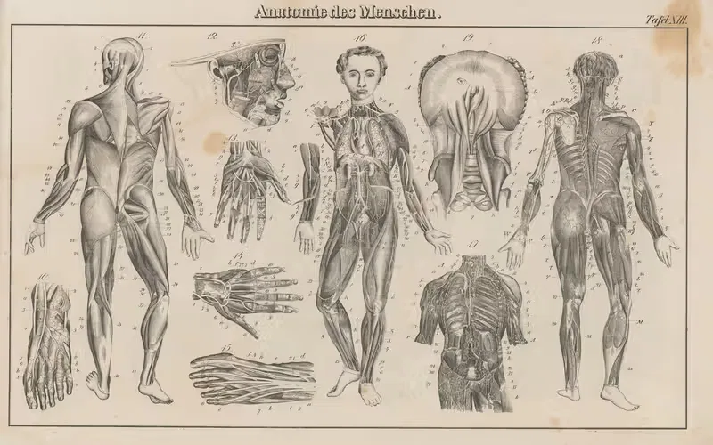 Atlas der Abbildungen Pierer's Universal Lexikon Pl.22 — Heinrich August Pierer