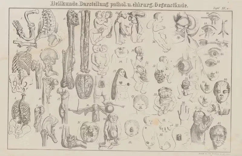 Atlas der Abbildungen Pierer's Universal Lexikon Pl.24 — Heinrich August Pierer