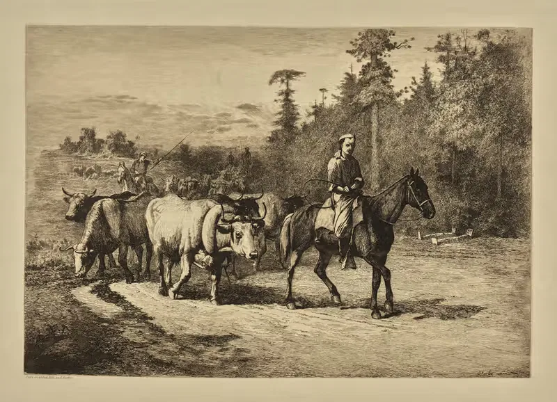 The leader of the herd — Edwin Forbes