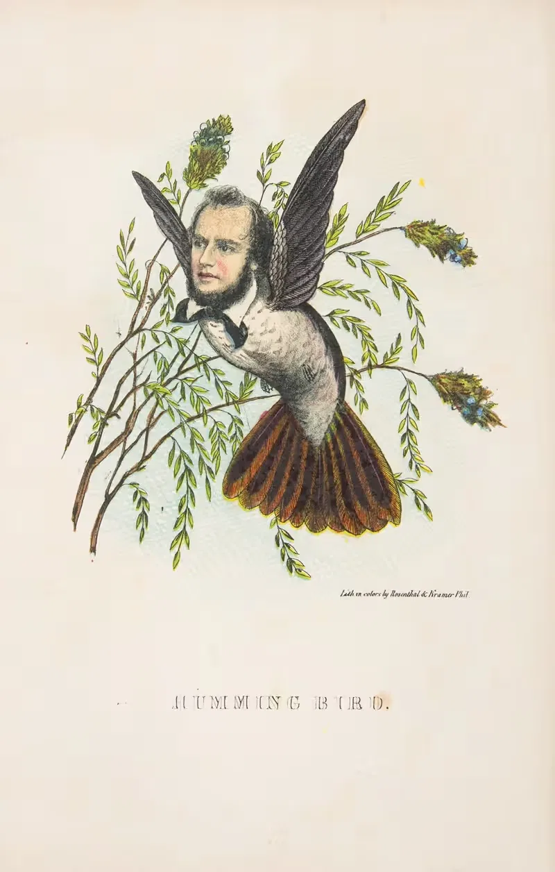 Колибри (Томас Б. Флоренс) by Генри Луис Стивенс, 1851 — digital art print download