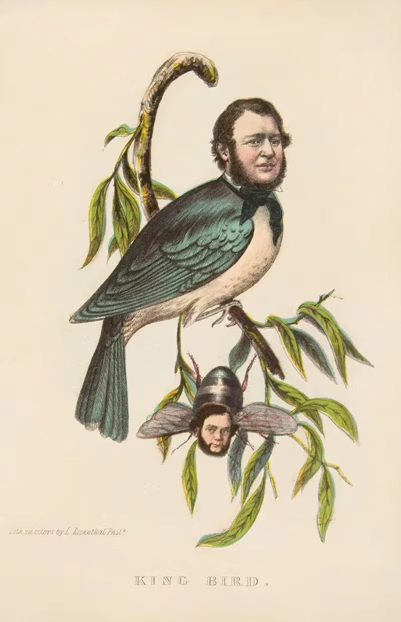 King Bird (Robert P. King and Alexander Baird) — Henry Louis Stephens