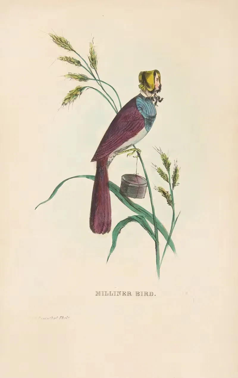 Шляпница Птица (Минни Дойл) by Генри Луис Стивенс, 1851 — digital art print download