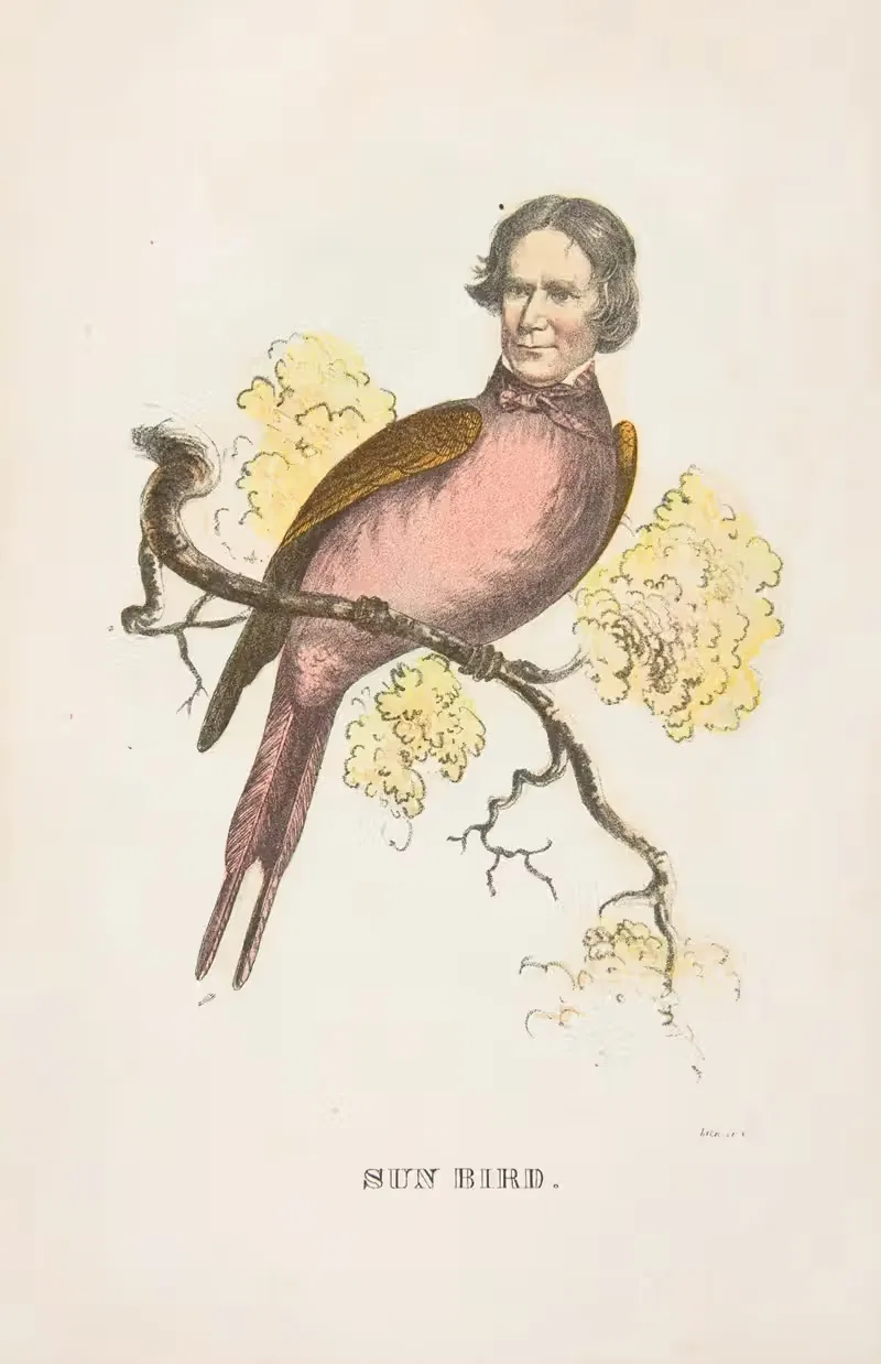 Sun Bird (James S. Wallace) by Henry Louis Stephens, 1851 — digital art print download
