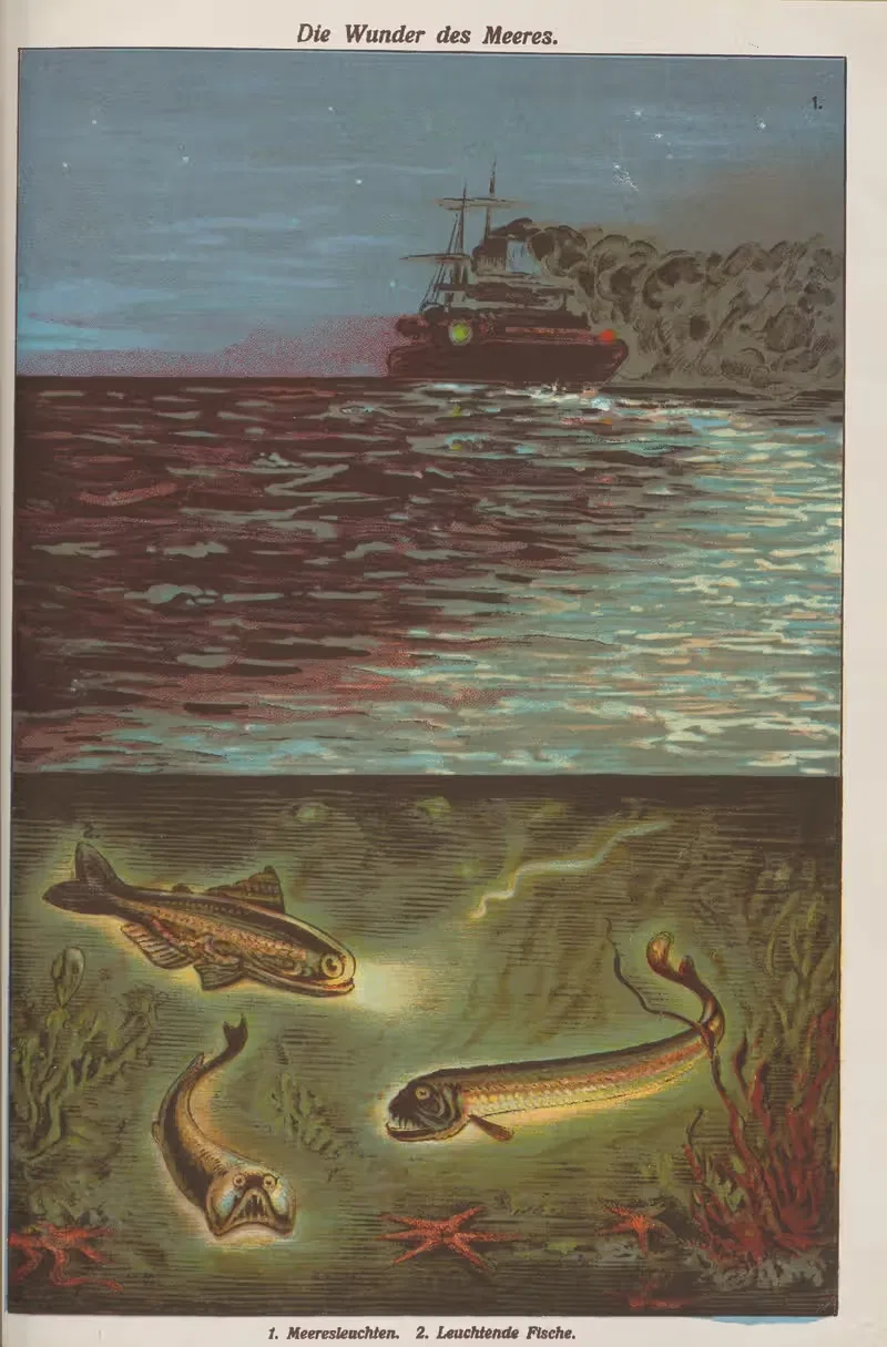 Чудеса моря by Оскар Хоффман, 1914 — digital art print download