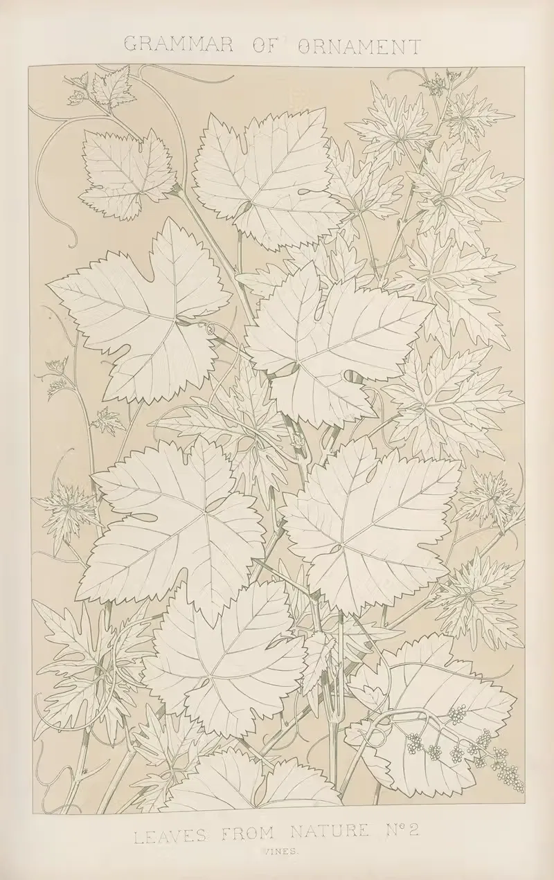 Листья из природы № 2 by Оуэн Джонс, 1856 — digital art print download