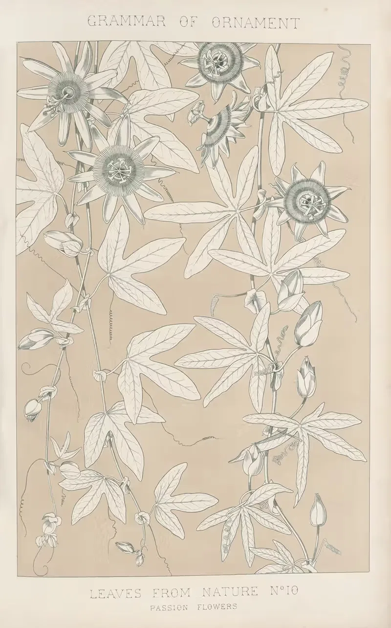 Листья из природы № 10 by Оуэн Джонс, 1856 — digital art print download