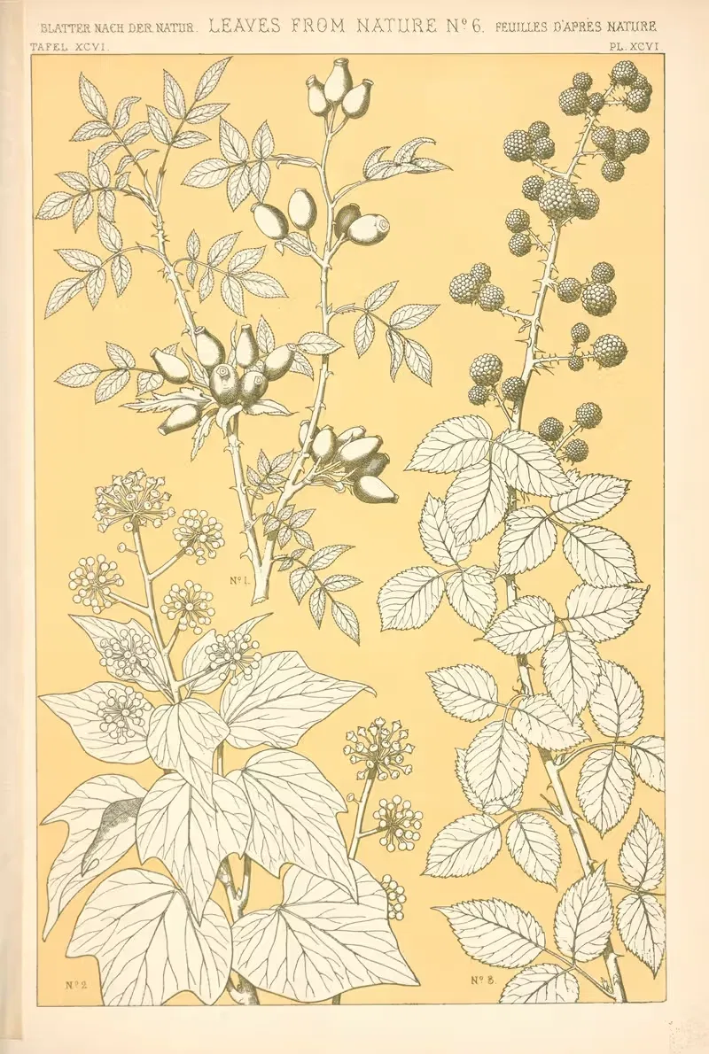 Листья из природы, № 6. by Оуэн Джонс, 1910 — digital art print download