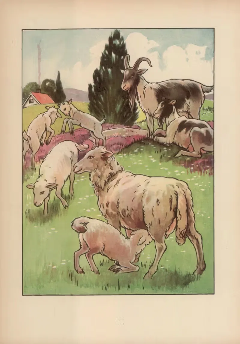 Czy już znacie? Pl.15 — Czesław Kędzierski