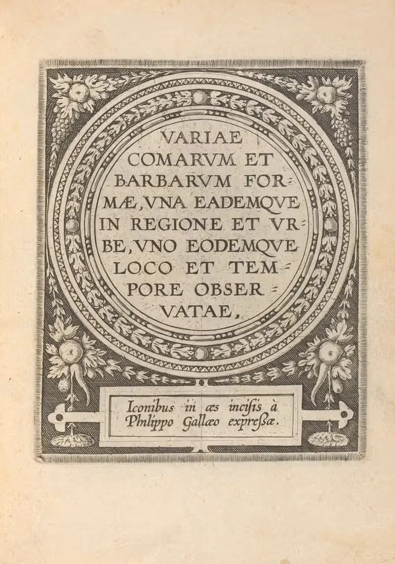 Вариации форм комаров и варваров – Титульная страница by Филипп Галле, 1590-1600 — digital art print download