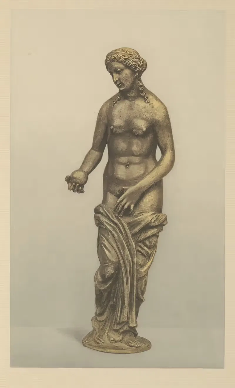 Венера – Бартоломео Беллано by Вильгельм фон Боде, 1910 — digital art print download