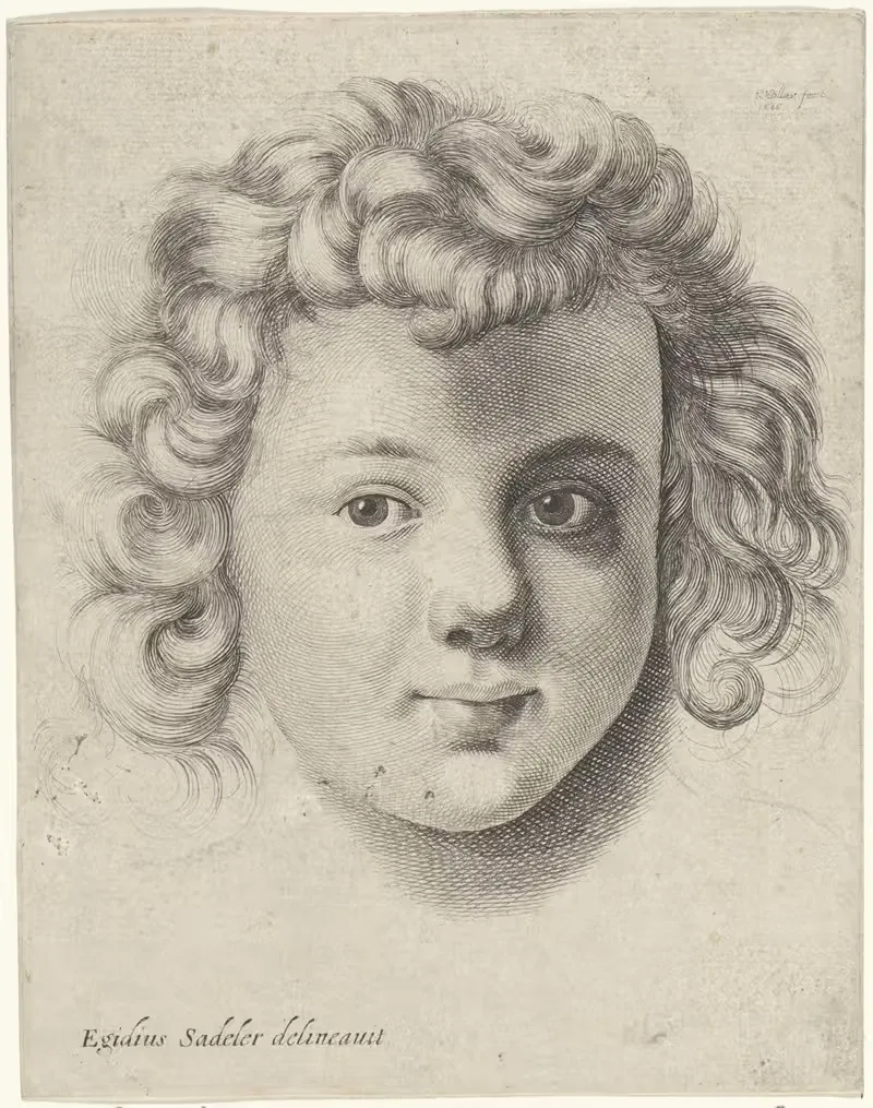 Голова ребенка by Венцеслав Голлар, 1646 — digital art print download