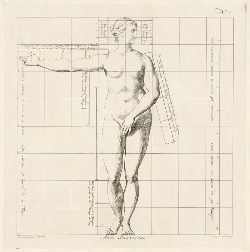 Proportional study of a woman's body — Jan Punt