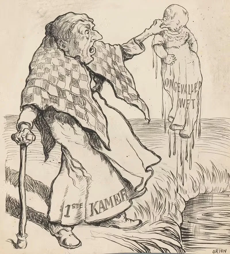 Eerste Kamer en de Ongevallenwet — Patricq Kroon
