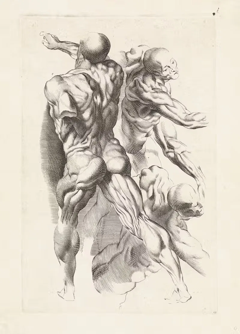 Anatomical study of three figures with outstretched arms — Paulus Pontius
