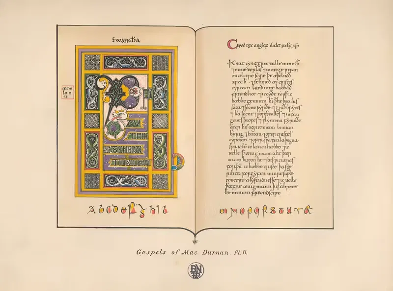 The Gospels of MacDurnan II — John Obadiah Westwood