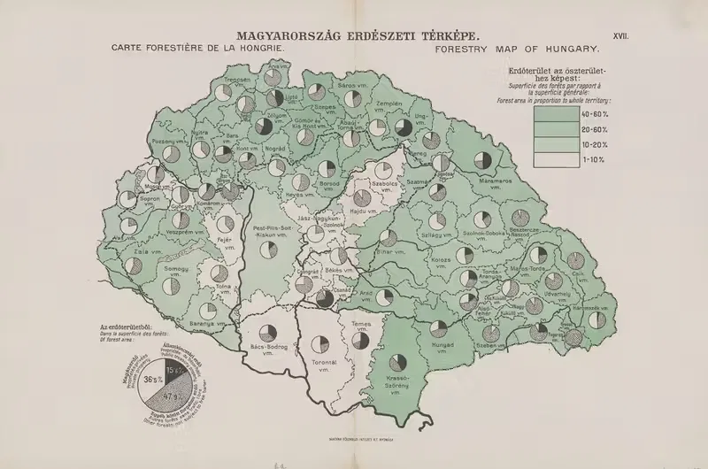 Лесная карта Венгрии by Венгерский географический институт, 1920 — digital art print download