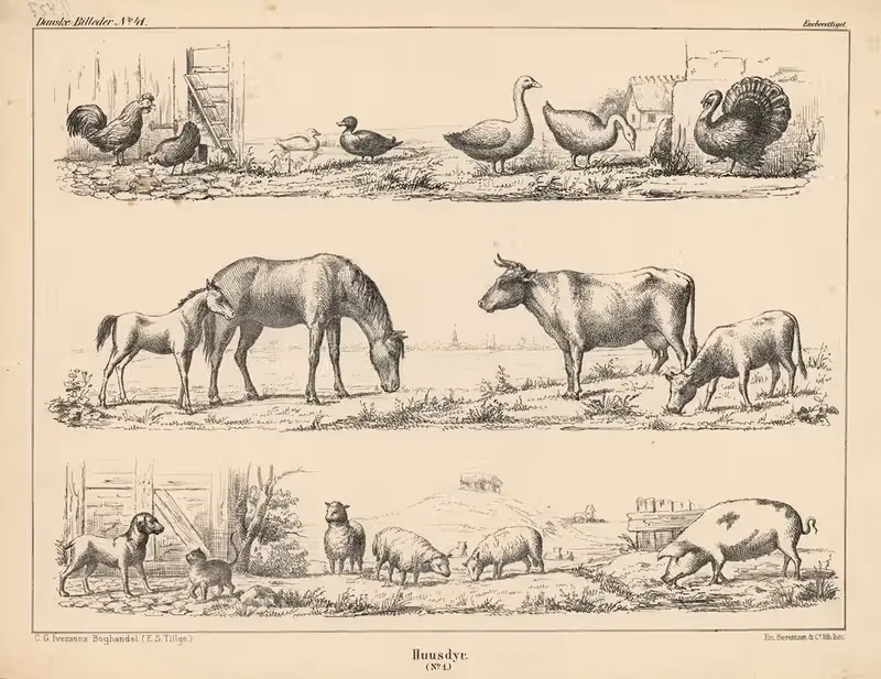 Huusdyr. (No. 1.) by Emil Bærentzen, 1863 — digital art print download